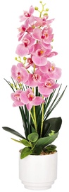 Искусственные цветы в вазоне, oрхидея Springos HA7426, белый/зеленый/розовый, 56 см