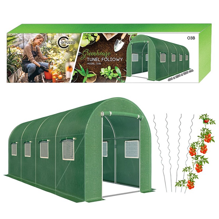 Теплица Carruzzo Garden Greenhouse 55937, полиэтилен, 4 x 2.5 м