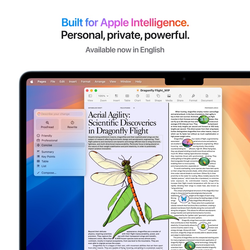 Sülearvuti Apple MacBook Air 13, M4, 16 GB, 256 GB, 13.6 ", 8-Core GPU, helesinine, inglise (int)