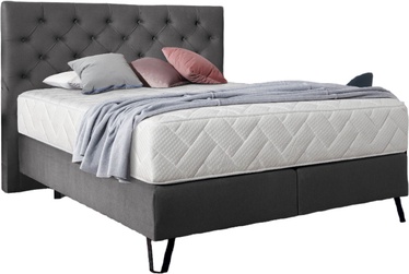 Кровать двухместная континентальная Cortina Nube 5, 160 x 200 cm, серый/темно-серый, с матрасом
