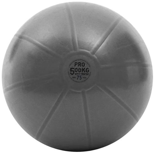 Гимнастический мяч Toorx Pro AHF149, серый, 750 мм