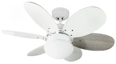 Lampa ar ventilatoru CristalRecord 85-990-06-111, 1 gab.