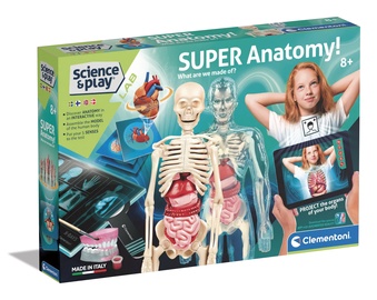 Коллекция анатомических наук Clementoni Science Set 78826, многоцветный