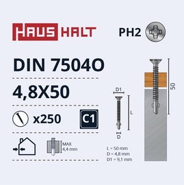 Pašvītņojošā skrūve Haushalt DIN 7504O, 4.8 mm x 50 mm, 250 gab.