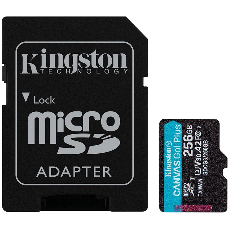 Mälukaart Kingston Canvas Go! Plus, 256 GB