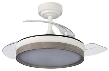 Laeventilaator koos lambiga CristalRecord Panam Mini, 46 W, 1 tk