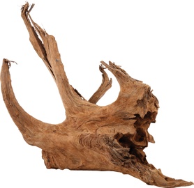 Dekoratsioon Zolux Mangrove Root 356035, 3.73 kg