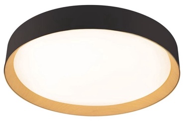 Valgust lagi CristalRecord Lea, 72 W, LED, 3000 °K