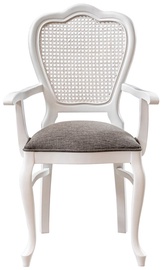 Valgomojo kėdė Kalune Design Albero 40 117FRF1140, matinė, balta/pilka, 45 cm x 56 cm x 99 cm