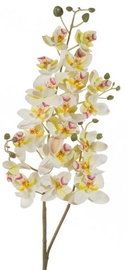 Mākslīgie ziedi Eurofirany Natu 367, balta, 77 cm