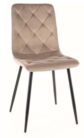 Valgomojo kėdė Jerry Bluvel 40, smėlio, 39 cm x 45 cm x 91 cm