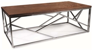 Журнальный столик Escada A, коричневый/серебристый, 120 см x 60 см x 40 см