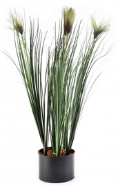 Dirbtinis augalas vazone, žolė Mondex Artificial Flower HTQB3523, ruda/žalia, 64 cm
