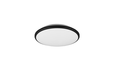 Lampa plafons Reality Limbus, 20.5 W, LED, 3000 °K
