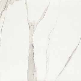 Плитка, каменная масса Tubadzin Bonella 5903238044974, 59.8 см x 59.8 см, белый