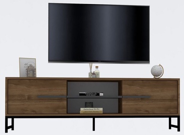 TV staliukas Kalune Design Mono, riešuto, 160 cm x 40 cm x 50 cm