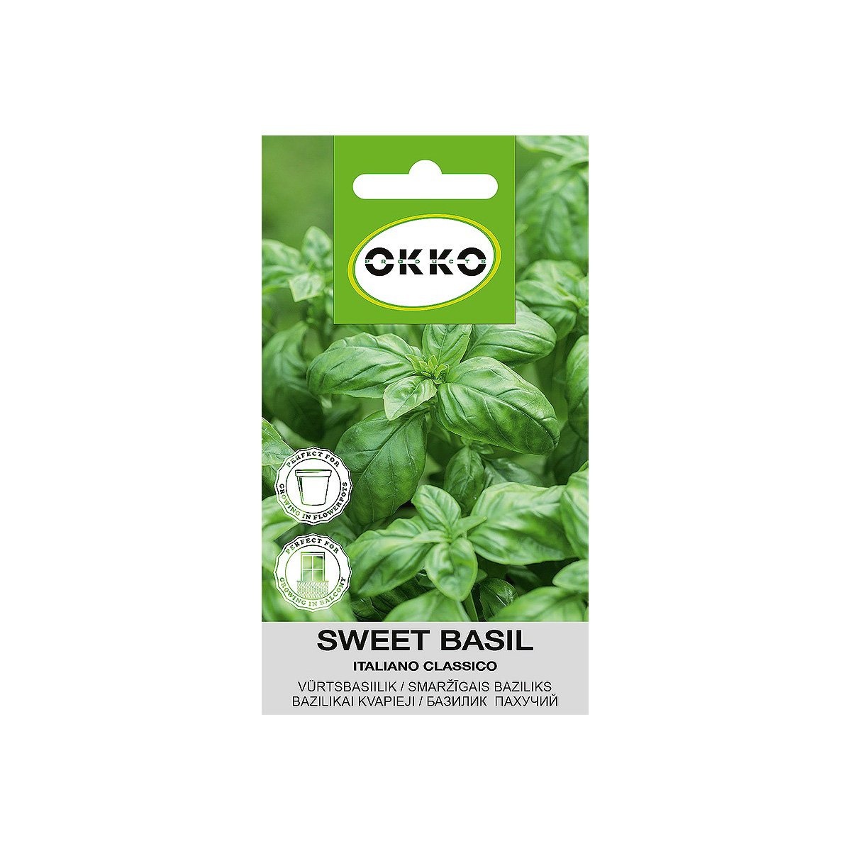 Sēklas Okko baziliki Italiano Classico, 0