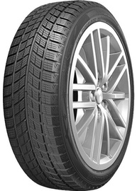 Ziemas riepa DoubleStar DW09, 235 x R19, 72 dB