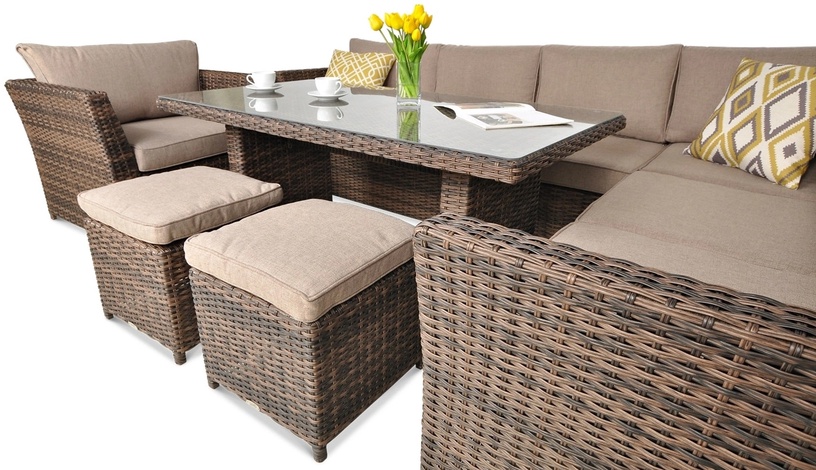 Välimööbli komplekt Focus Garden Moniz Dining Plus, pruun, 7-8 istekohta