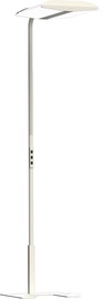 Põrandalamp Biownlight SL-B6-2765-1-ST4W, LED