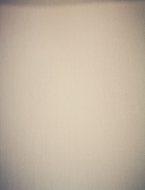 Veltņu aizkari Domoletti EDEN ED-127, bēša, 1500 mm x 2400 mm