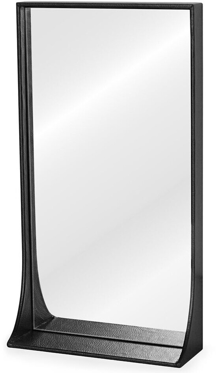Veidrodis Homede Pisca, 25.5 cm x 40.5 cm