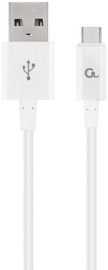 Gembird USB To USB Type - C White 2m