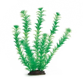 Akvariumo augalas Beeztess, 3,5 x 12 x 35 cm