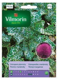 Mārdadžu sēklas Vilmorin P536