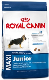 Sausas ėdalas šunims Royal Canin SHN Maxi Junior, 15 kg