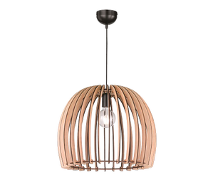 Kabantis šviestuvas Reallity Wood R30255030, 1x60W, E27