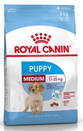 Royal Canin SHN Medium Junior 1kg