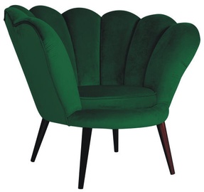 Fotelis Signal Meble Magnolia Green/Wenge, 95x60x87 cm