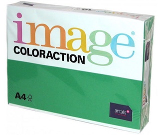 Paber Antalis Image Coloraction A4 Dark Green