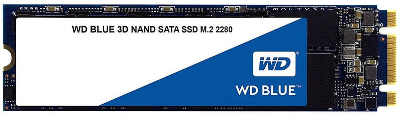 Kietasis diskas (SSD) Western Digital Blue WDS500G2B0B, M.2, 500 GB