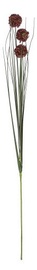 Home4you Bouquet Herbarium Grass 3pcs In Garden H89cm Brown