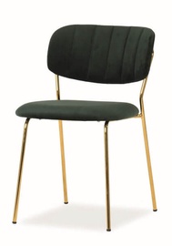 Стул для столовой Signal Meble Carlo Velvet Green/Gold, 1 шт.