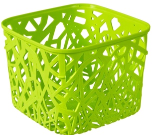 Curver Neo Square Basket Green