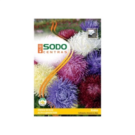 Ķīnas asteru sēklas Sodo Centras Kralen , 0.5 g