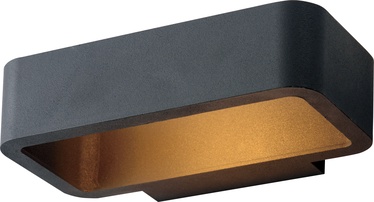 Domolleti Wall Light Eagle ELED-634B