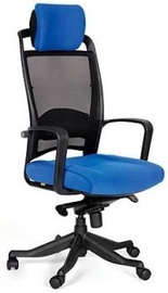 Chairman Executive 283 26-21 Blue
