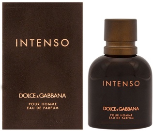 Parfimērijas ūdens Dolce & Gabbana Pour Homme Intenso 40ml EDP