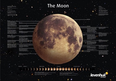 Levenhuk Moon Poster