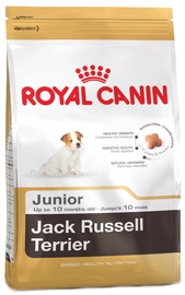 Royal Canin BHN Jack Russel Terrier Junior 0.5kg
