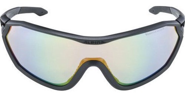 Alpina Sports S-Way L VLM+ Black/Grey
