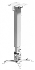 Reflecta Universal Ceiling Mount TAPA White