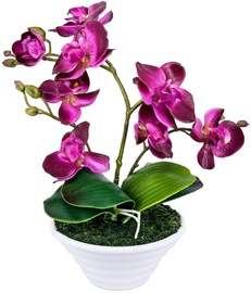 Home4you Orchid 3 Knotted H30cm Purple 73733