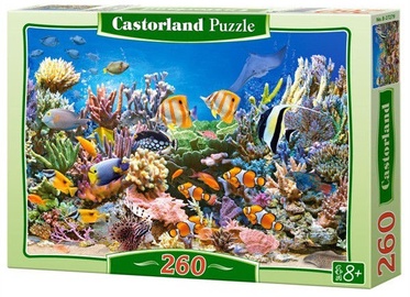 Puzle Castorland 260pcs, 32 cm x 23 cm