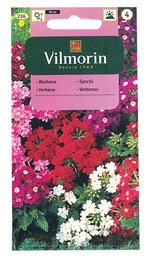 Verbēnu sēklas Vilmorin