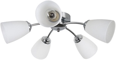 Lampa griesti Verners Minna, 60 W, E14
